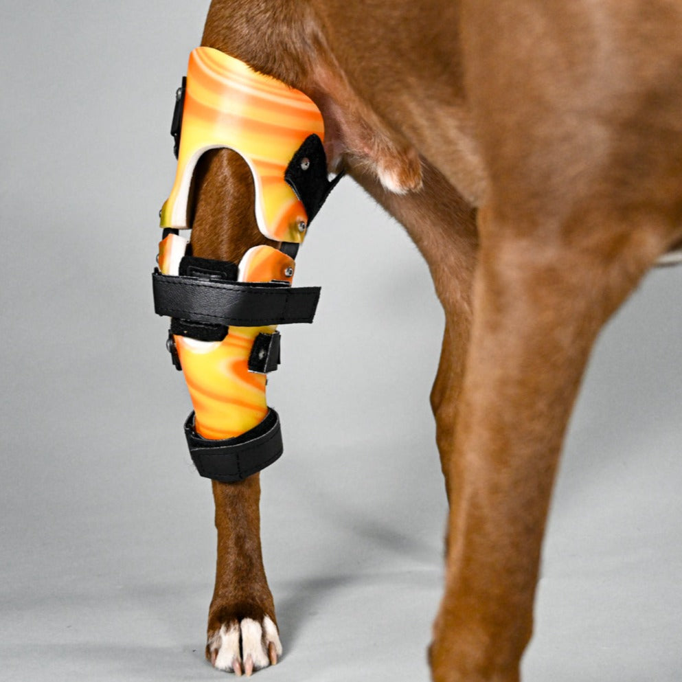 Custom Dog Knee Brace | CCL/ACL Stifle Rear Leg Dog Brace
